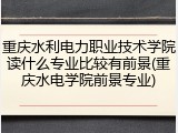 重庆水利电力职业技术学院读什么专业比较有前景(重庆水电学院前景专业)