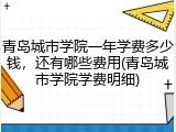 青岛城市学院一年学费多少钱，还有哪些费用(青岛城市学院学费明细)