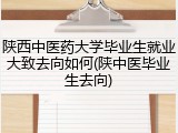 陕西中医药大学毕业生就业大致去向如何(陕中医毕业生去向)