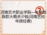 河南艺术职业学院一年财政拨款大概多少钱(河南艺校年拨经费)