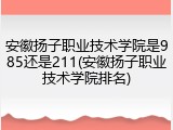 安徽扬子职业技术学院是985还是211(安徽扬子职业技术学院排名)