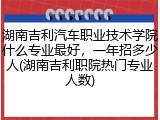 湖南吉利汽车职业技术学院什么专业最好，一年招多少人(湖南吉利职院热门专业人数)