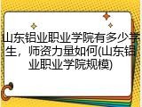 山东铝业职业学院有多少学生，师资力量如何(山东铝业职业学院规模)