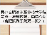 民办合肥滨湖职业技术学院是双一流高校吗，简单介绍(合肥滨湖职院双一流？)
