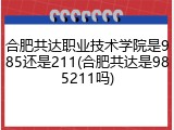 合肥共达职业技术学院是985还是211(合肥共达是985211吗)