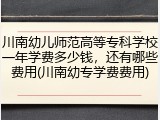 川南幼儿师范高等专科学校一年学费多少钱，还有哪些费用(川南幼专学费费用)