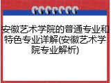 安徽艺术学院的普通专业和特色专业详解(安徽艺术学院专业解析)