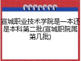 宣城职业技术学院是一本还是本科第二批(宣城职院属第几批)