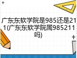 广东东软学院是985还是211(广东东软学院属985211吗)
