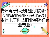 贵州电子科技职业学院哪个专业毕业就业前景比较好(贵州电子科技职业学院好就业专业)