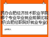 民办合肥经济技术职业学院哪个专业毕业就业前景比较好(合肥经职院好就业专业)