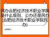 民办合肥经济技术职业学院是什么级别，公办还是民办(合肥经济技术职业学院民办)