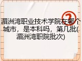 湄洲湾职业技术学院在哪个城市，是本科吗，第几批(湄洲湾职院批次)