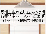 苏州工业园区职业技术学院有哪些专业，就业前景如何(苏州工业职院专业就业)