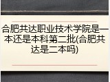 合肥共达职业技术学院是一本还是本科第二批(合肥共达是二本吗)