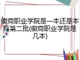 徽商职业学院是一本还是本科第二批(徽商职业学院是几本)