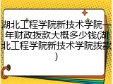 湖北工程学院新技术学院一年财政拨款大概多少钱(湖北工程学院新技术学院拨款)