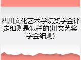四川文化艺术学院奖学金评定细则是怎样的(川文艺奖学金细则)