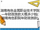 湖南有色金属职业技术学院一年财政拨款大概多少钱(湖南有色职院年财政拨款)