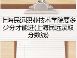 上海民远职业技术学院要多少分才能进(上海民远录取分数线)