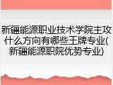 新疆能源职业技术学院主攻什么方向有哪些王牌专业(新疆能源职院优势专业)