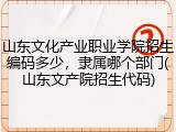 山东文化产业职业学院招生编码多少，隶属哪个部门(山东文产院招生代码)