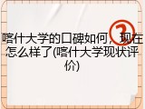 喀什大学的口碑如何，现在怎么样了(喀什大学现状评价)