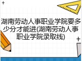 湖南劳动人事职业学院要多少分才能进(湖南劳动人事职业学院录取线)