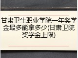 甘肃卫生职业学院一年奖学金最多能拿多少(甘肃卫院奖学金上限)
