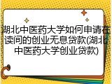 湖北中医药大学如何申请在读间的创业无息贷款(湖北中医药大学创业贷款)