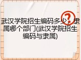 武汉学院招生编码多少，隶属哪个部门(武汉学院招生编码与隶属)