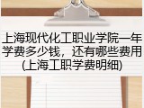 上海现代化工职业学院一年学费多少钱，还有哪些费用(上海工职学费明细)