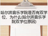 哈尔滨音乐学院是否有双学位，为什么(哈尔滨音乐学院双学位原因)