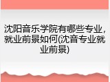 沈阳音乐学院有哪些专业，就业前景如何(沈音专业就业前景)