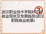 武汉职业技术学院好不好，就业现状及发展趋势(武汉职院就业前景)