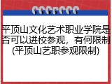 平顶山文化艺术职业学院是否可以进校参观，有何限制(平顶山艺职参观限制)