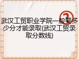 武汉工贸职业学院一般要多少分才能录取(武汉工贸录取分数线)