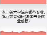 湖北美术学院有哪些专业，就业前景如何(湖美专业就业前景)