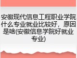 安徽现代信息工程职业学院什么专业就业比较好，原因是啥(安徽信息学院好就业专业)