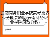 云南商务职业学院高考需多少分能录取呢(云南商务职业学院录取分数)