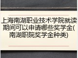上海南湖职业技术学院就读期间可以申请哪些奖学金(南湖职院奖学金种类)