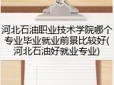 河北石油职业技术学院哪个专业毕业就业前景比较好(河北石油好就业专业)