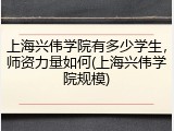 上海兴伟学院有多少学生，师资力量如何(上海兴伟学院规模)