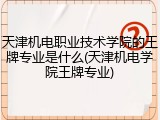 天津机电职业技术学院的王牌专业是什么(天津机电学院王牌专业)