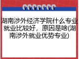 湖南涉外经济学院什么专业就业比较好，原因是啥(湖南涉外就业优势专业)