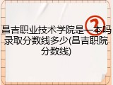 昌吉职业技术学院是一本吗录取分数线多少(昌吉职院分数线)