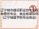 辽宁城市建设职业技术学院有哪些专业，就业前景如何(辽宁城建学院专业就业)