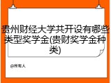 贵州财经大学共开设有哪些类型奖学金(贵财奖学金种类)