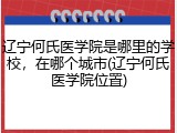 辽宁何氏医学院是哪里的学校，在哪个城市(辽宁何氏医学院位置)