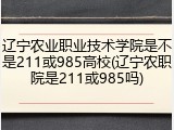 辽宁农业职业技术学院是不是211或985高校(辽宁农职院是211或985吗)